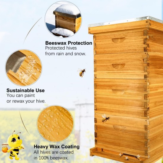 10-Frame Langstroth Beehive Dipped in 100% Beeswax, Complete Bee Hives and Supplies Starter Kit Includes 2 Deep Hive Bee Box and 2 Bee Hive Super with Beehive Frames and Foundation