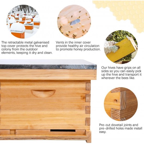 Bee Hive Starter kit, 8-Frame Hive and Beekeeping Supplies-All, Beehive Kit Includes 1 Wax Coated Deep Bee Box,Frames, Waxed Foundation and Beekeeping Tools Kit with Bee Jacket