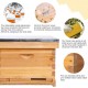 Bee Hive Starter kit, 8-Frame Hive and Beekeeping Supplies-All, Beehive Kit Includes 1 Wax Coated Deep Bee Box,Frames, Waxed Foundation and Beekeeping Tools Kit with Bee Jacket