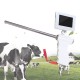 Insemination Kit, Portable Insemination Kit for Cows Cattle Visual w/Screen Easy Monitoring