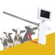 Insemination Kit, Portable Insemination Kit for Cows Cattle Visual w/Screen Easy Monitoring