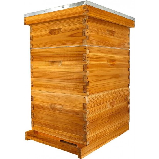 10 Frame Bee Hive, Bee Hives Boxes Starter Kit for Beekeepers Dipped in 100% Beeswax, Beehive Kit Include 2 Deep Brood Box & 1 Medium Super Bee Box with Beehive Frames and Waxed Foundation