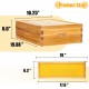 10 Frame Bee Hive Starter Kit, Complete Beehive Kit for Beekeepers Dipped in 100% Beeswax Includes 1 Deep Brood Box & 1 Medium Super Bee Box with Beehive Frames and Waxed Foundation Sheet