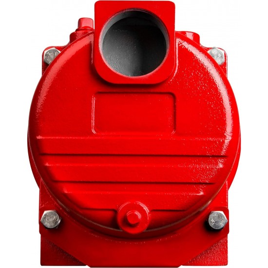 RL-SPRK150 115/230 Volt, 1.5 HP, 71 GPM Cast Iron Sprinkler/Irrigation Pump with Thermoplastic Impeller, Red, 97101501