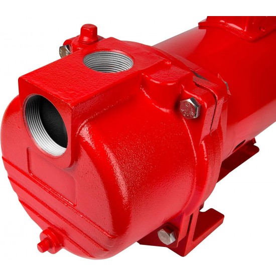 RL-SPRK150 115/230 Volt, 1.5 HP, 71 GPM Cast Iron Sprinkler/Irrigation Pump with Thermoplastic Impeller, Red, 97101501