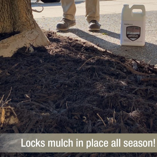 Mulch & Rock Bond - Landscaping Glue, Locks Mulch, Rock, & Gravel in Place, Ready to Use, No Mixing, Fast-Drying, Strong, Sprayable, Adhesive, Binder, and Stabilizer, (5 Gallon, 1)