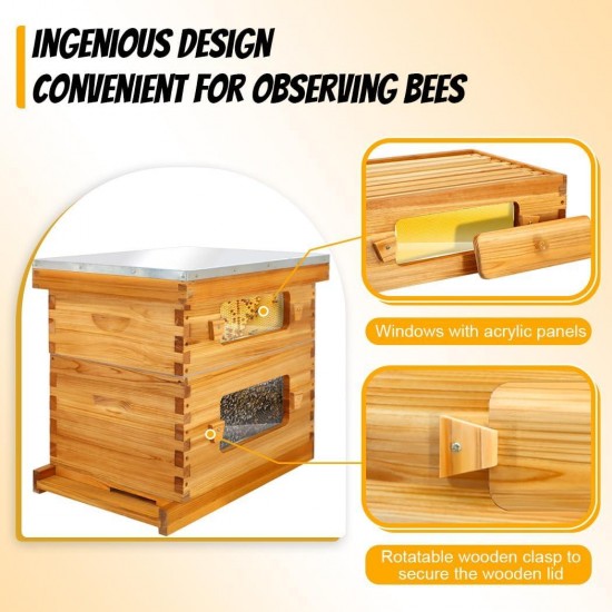 Bee Hive with Windows, 8 Frame Langstroth Complete Beehive Starter Kit Dipped in 100% Beeswax with Beehive Frames and Waxed Foundations (1 Deep Brood Bee Hive Box & 1 Medium Super Bee Box)