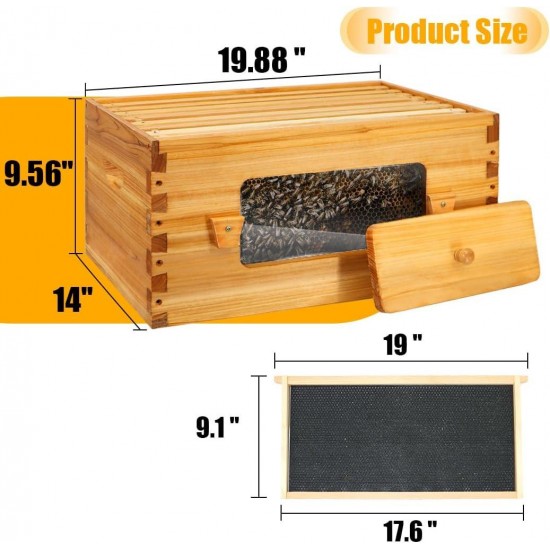 Bee Hive with Windows, 8 Frame Langstroth Complete Beehive Starter Kit Dipped in 100% Beeswax with Beehive Frames and Waxed Foundations (1 Deep Brood Bee Hive Box & 1 Medium Super Bee Box)