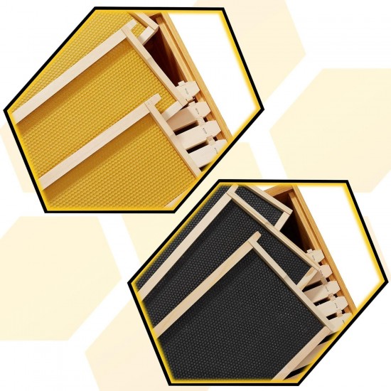 Beehive 10 Frame Complete Box Kit Coated in 100% Beeswax (Waxed Boxes, 2 Deep and 1 Medium) with Wooden Frames and Waxed Foundations for Langstroth Beekeeping