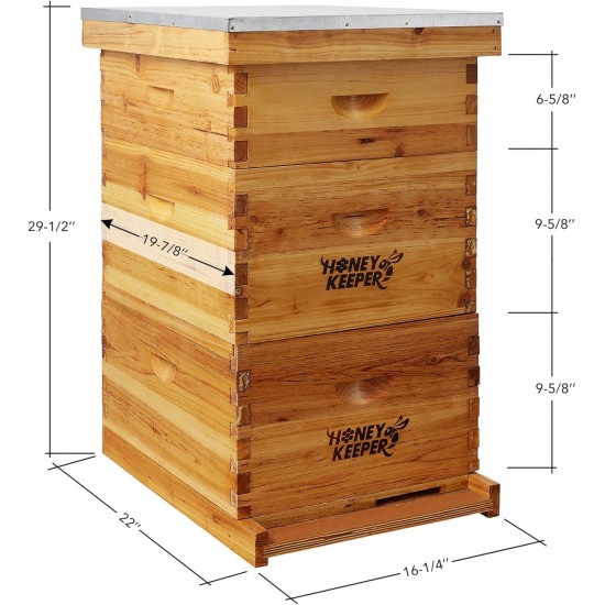 Beehive 10 Frame Complete Box Kit Coated in 100% Beeswax (Waxed Boxes, 2 Deep and 1 Medium) with Wooden Frames and Waxed Foundations for Langstroth Beekeeping