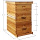 Beehive 10 Frame Complete Box Kit Coated in 100% Beeswax (Waxed Boxes, 2 Deep and 1 Medium) with Wooden Frames and Waxed Foundations for Langstroth Beekeeping