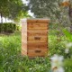 Beehive 10 Frame Complete Box Kit Coated in 100% Beeswax (Waxed Boxes, 2 Deep and 1 Medium) with Wooden Frames and Waxed Foundations for Langstroth Beekeeping