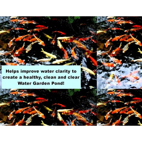 PondH2o Pressurized Pond Filter for 5000 Gallon Ornamental Water Garden or 4000 Gallon Koi Fish Water Garden Pond