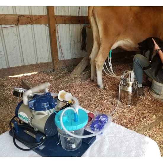 Electric Milker for Goats, Cows, and Sheep. (2.6 Gallon Stainless Steel)