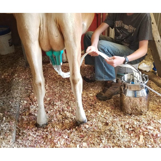 Electric Milker for Goats, Cows, and Sheep. (2.6 Gallon Stainless Steel)