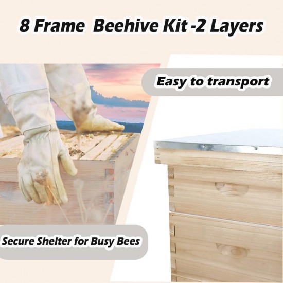 Bee Hive 8 Frame Kit, Honey Beehive Includes 1 Deep Bee Box 1 Medium Bee Hive Box with Beehive Frames and Beeswax Coated Foundation Sheet