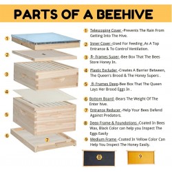 Bee Hive 8 Frame Kit, Honey Beehive Includes 1 Deep Bee Box 1 Medium Bee Hive Box with Beehive Frames and Beeswax Coated Foundation Sheet