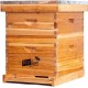 Bee Hive 10 Frame Bee Hives and Supplies Starter Kit, Bee Hive for Beginner, Honey Bee Hives Includes 1 Deep Bee Boxes, 1 Bee Hive Super with Beehive Frames and Foundation