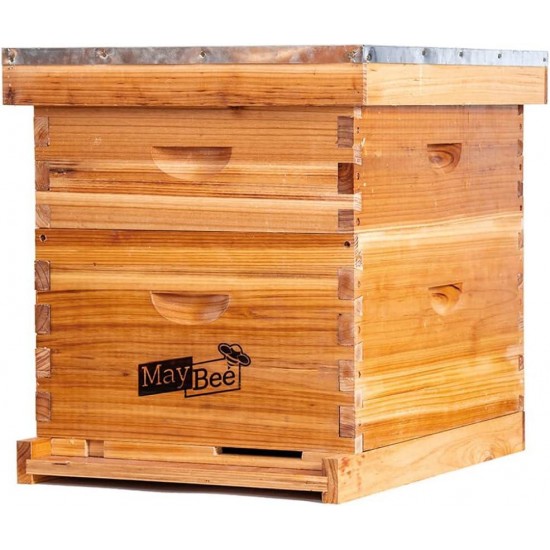 Bee Hive 10 Frame Bee Hives and Supplies Starter Kit, Bee Hive for Beginner, Honey Bee Hives Includes 1 Deep Bee Boxes, 1 Bee Hive Super with Beehive Frames and Foundation