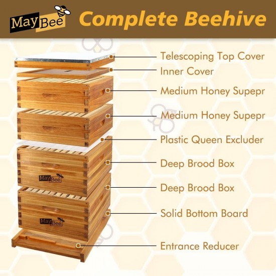 10-Frame Langstroth Beehive Dipped in 100% Beeswax, Complete Bee Hives and Supplies Starter Kit Includes 2 Deep Hive Bee Box and 2 Bee Hive Super with Beehive Frames and Foundation