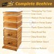 10-Frame Langstroth Beehive Dipped in 100% Beeswax, Complete Bee Hives and Supplies Starter Kit Includes 2 Deep Hive Bee Box and 2 Bee Hive Super with Beehive Frames and Foundation