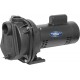 96220 2 HP Cast Iron Lawn Irrigation Pump, Black & Blue Devil Adjustable Motor Cover