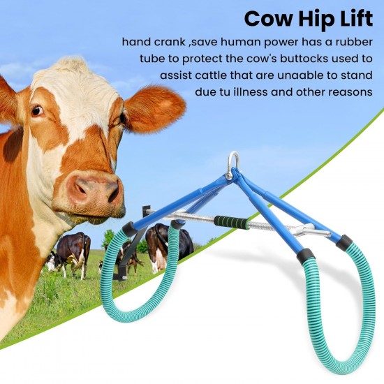 Cow Hip Lift,2204LB Adjustable Clamp OB Milking Birthing Lame,Cow Stand Support Stand Up Assist Device,Cattle Helper Dystocia Severe Typhoid Fever Fallen Postpartum Aid,Stainless Steel