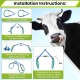 Cow Hip Lift,2204LB Adjustable Clamp OB Milking Birthing Lame,Cow Stand Support Stand Up Assist Device,Cattle Helper Dystocia Severe Typhoid Fever Fallen Postpartum Aid,Stainless Steel