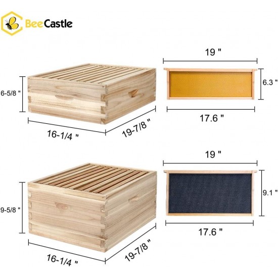 10-Frame Complete Bee Hives and Supplies Starter Kit, Beehives for Beginners with Beehive Frames and Waxed Foundations (2 Deep Bee Boxes & 2 Medium Super Bee Boxes)