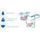 Milking Machine Portable Electric Milker Vacuum Pulsation Milking Machine with 2 Teat Cups 7L Stainless Steel Milk Container Food Grade Hose Charge/Plug in (for Goat)