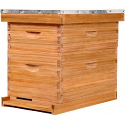 8 Frame Bee Hive,Complete Beehive Starter Kit for Beekeeper, Beehive Includes 1 Deep Bee Box and 1 Medium Bee Hives Boxes with Bee Frames and Beeswax Coated Foundation(2 Layer)