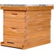 8 Frame Bee Hive,Complete Beehive Starter Kit for Beekeeper, Beehive Includes 1 Deep Bee Box and 1 Medium Bee Hives Boxes with Bee Frames and Beeswax Coated Foundation(2 Layer)