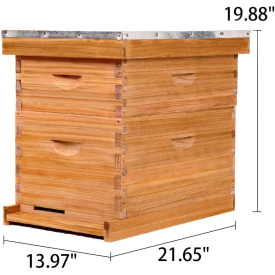 8 Frame Bee Hive,Complete Beehive Starter Kit for Beekeeper, Beehive Includes 1 Deep Bee Box and 1 Medium Bee Hives Boxes with Bee Frames and Beeswax Coated Foundation(2 Layer)