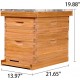 8 Frame Bee Hive,Complete Beehive Starter Kit for Beekeeper, Beehive Includes 1 Deep Bee Box and 1 Medium Bee Hives Boxes with Bee Frames and Beeswax Coated Foundation(2 Layer)