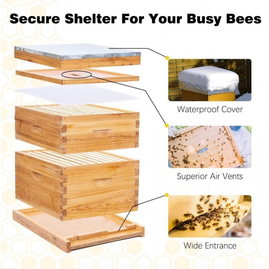 8 Frame Bee Hive,Complete Beehive Starter Kit for Beekeeper, Beehive Includes 1 Deep Bee Box and 1 Medium Bee Hives Boxes with Bee Frames and Beeswax Coated Foundation(2 Layer)