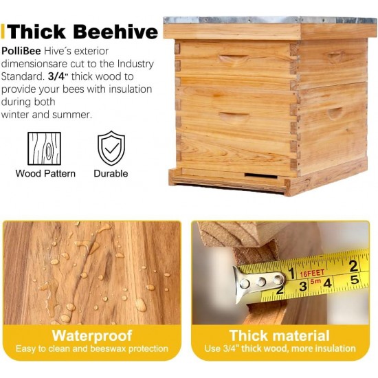 8 Frame Bee Hive,Complete Beehive Starter Kit for Beekeeper, Beehive Includes 1 Deep Bee Box and 1 Medium Bee Hives Boxes with Bee Frames and Beeswax Coated Foundation(2 Layer)