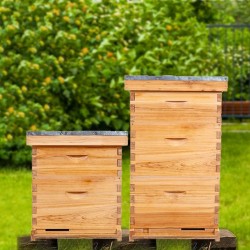 8 Frame Bee Hive,Complete Beehive Starter Kit for Beekeeper, Beehive Includes 1 Deep Bee Box and 1 Medium Bee Hives Boxes with Bee Frames and Beeswax Coated Foundation(2 Layer)