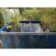 PVC Canvas Fish Pond with Frame, Outdoor Aquarium Water Tank, Garden Fish Pool with Transparent Viewing Panel for Farming Koi, Hydroponic Plants (Color : Blue-Clear, Size : 120x80x71cm)