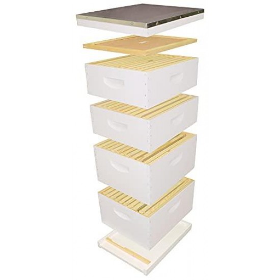 Beehive kit, Completely Assembled Kit, Painted, with Frames and Foundation, Ready to Use,10 Frame Kit, 2 Deep Bee Boxes, 2 Medium Supers, Made in The USA