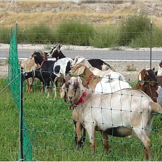 Electric Fence Netting for Sheep, Lambs, Goats, Dogs, 35 H x 164' L, 14 Posts, 2 Spikes, Green