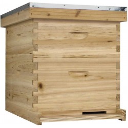 NuBee Starter 10 Frame Beehive Kit - Includes 1 Hive Body, 1 Super Box, Pine Frames, Wax Coated Foundations and More