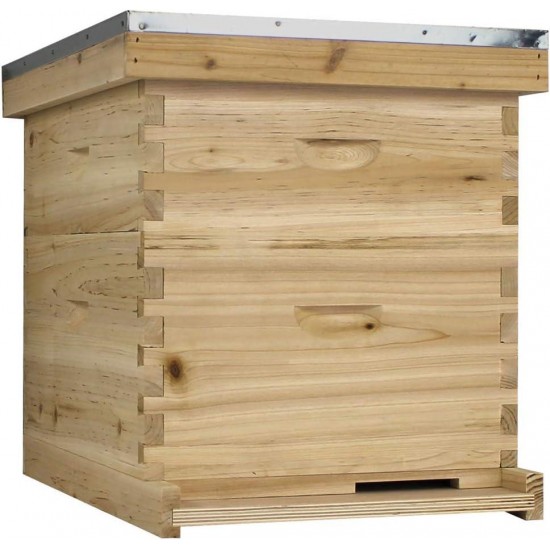 NuBee Starter 10 Frame Beehive Kit - Includes 1 Hive Body, 1 Super Box, Pine Frames, Wax Coated Foundations and More