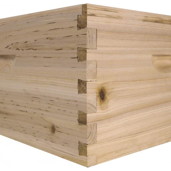 NuBee Starter 10 Frame Beehive Kit - Includes 1 Hive Body, 1 Super Box, Pine Frames, Wax Coated Foundations and More