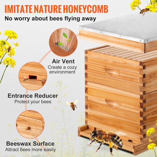 Bee Hive, 10 Frame Complete Beehive Kit, Dipped in 100% Natural Beeswax Includes 1 Deep Brood & 1 Medium Honey Super Box with Waxed Foundations, for Beginners & Pro Beekeepers, 2 Layer