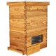 10-Frame Langstroth Beehive with Windows, Beeswaxed Coated Bee Hive for Beginners with Beehive Frames and Waxed Foundations (2 Deep Bee Boxes & 1 Medium Super Bee Box)