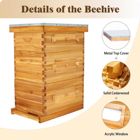 10-Frame Langstroth Beehive with Windows, Beeswaxed Coated Bee Hive for Beginners with Beehive Frames and Waxed Foundations (2 Deep Bee Boxes & 1 Medium Super Bee Box)