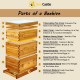 10-Frame Langstroth Beehive with Windows, Beeswaxed Coated Bee Hive for Beginners with Beehive Frames and Waxed Foundations (2 Deep Bee Boxes & 1 Medium Super Bee Box)