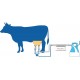 MastiPro Dairy Cow California Mastitis Test CMT/Smart Mastitis Detector Subclinical Early Mastitis Detection Treatment