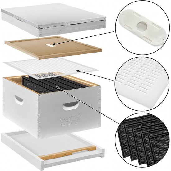 10 Frame Starter Beehive Kit (1 Deep Hive Body) with Essential Starter Supplies Tool Kit for Langstroth Beekeeping, Fully Assembled and Painted