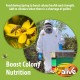 Pollen Patties for Honey Bees - 40lb (40x1lb) Natural Bee Food with 15% Real USA Pollen, HiveAlive Concentrate, Amino Acids to Improve Colony Health, Brood